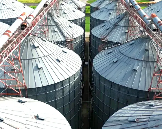 Silos de almacenamiento de granos de Xeax Alimentos